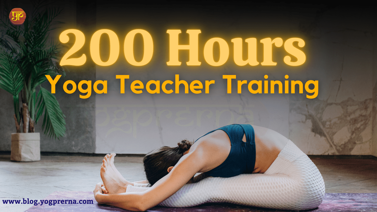 200 hour yoga teacher training course
